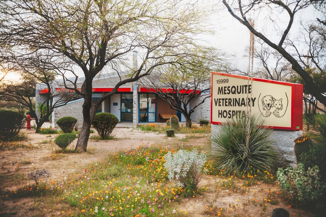 Photo Gallery - Mesquite Veterinary Hospital